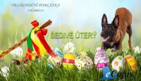 Sunday Pets není jen krmivo, ale i zážitek!