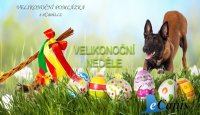 Zvěrokruh – místo, kde si každý chovatel přijde na své!