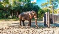 Výlet do zoo aneb Den, kdy jsem našla příbuzné