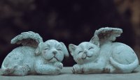 Veterinární klinika Jaggy Praha čelí dvěma vážným kauzám!