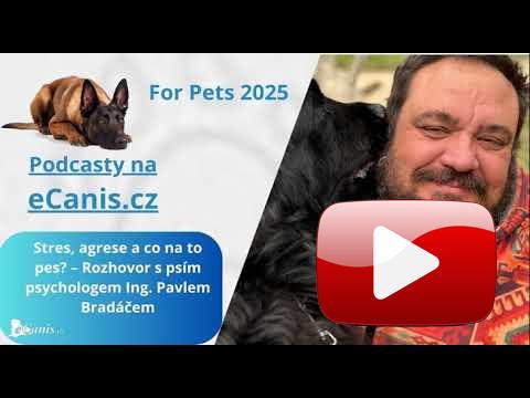 Stres, agrese a co na to pes? – Rozhovor s psím psychologem Ing. Pavlem Bradáčem