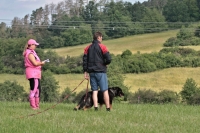 Stopařská poradna – Psa zajímá víc stopa než pamlsky!