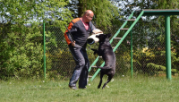 Cane corso je hlavně parťákem pro život!