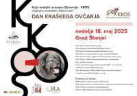 Zážitky z kouzelného Štanjelu aneb 18. setkání krašských ovčáků ve Slovinsku
