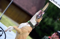 BULL SPORTY s Lucy – hang time