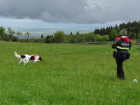 Mantrailing v kostce – 2. díl