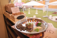 Užijte si se svým psem léto ve Fitmin Pestauraci