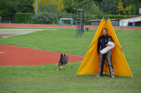 Připomínáme mistry sportovní kynologie
