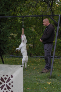 BULL SPORTY s Lucy – hang time