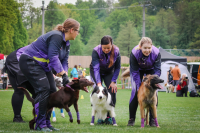 Co je to vlastně ten flyball? – 1. díl