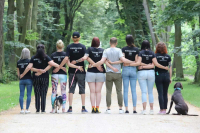 Haló, haló, proč je bullů málo? A tak štěkám jako hrom, ať je bullů milion!