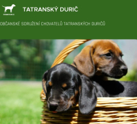 Můj tatranský ďurič je parťák, který nikdy nezklame!
