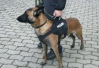 Taktická výstroj i pro běžného pejskaře!
