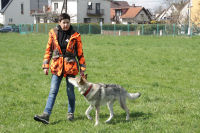 Kynologie pod jednou střechou aneb Jak správně na čévéčka