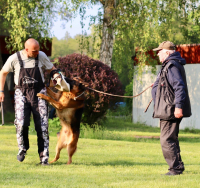 Legendy československé kynologie – Stanislav Skála