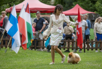 Od 1. července 2024 se v ČR mění výstavní řád!