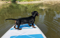 Fitness na vodě aneb Paddle boarding pro každého! 