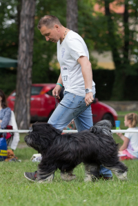 Výstavní poradna – Chůze mimochodem