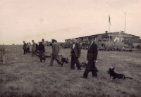 Historie služební kynologie 50. léta – 1. díl