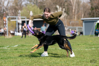 Pražským pohárem byla zahájena dogpullerová sezóna! 