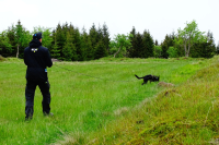 Mantrailing v kostce – 2. díl