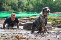 Czech dog run – to musíte zažít!  