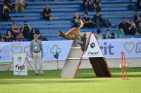 Připomínáme mistry sportovní kynologie