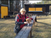 Teriér s duší pracanta – to je amstaff