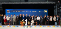 Diagnóza buldoček, aneb Když se zadaří