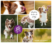 Oslavte svátky jara v rytmu EcoPets!