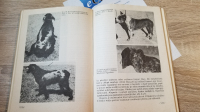 Báječná kniha s názvem „Nemoci psů“