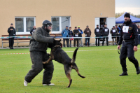 Slovenskí policajní kynológovia oslávili výročie aj pracovne