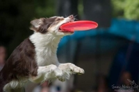 Dogfrisbee je pro mě tím pravým sportem!