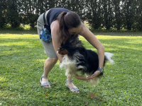 Psí triky a jak na ně – 13. díl