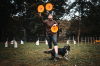 Vzdušné skoky a psí radost: To je svět dogfrisbee