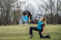 Vzdušné skoky a psí radost: To je svět dogfrisbee