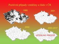 Ohrožuje nás vzteklina?