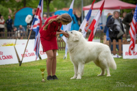 Od 1. července 2024 se v ČR mění výstavní řád!