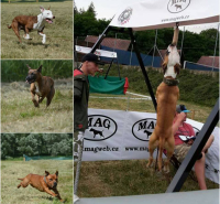 BULL SPORTY s Lucy – hang time