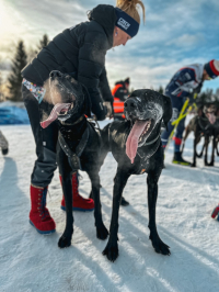 Zimní MS ve Švédsku prověřilo připravenost nejednoho psa!