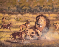 Seznamte se s historií lvích psů…