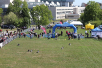 Corgi Czech Run 2025: Malí běžci, velká pomoc