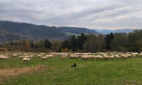 Poklad slovenských salašov – to je hajčiarik