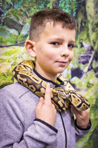 Milovníci zvířat, zbystřete! Nějvětší chovatelský veletrh FOR PETS už po Velikonocích! 