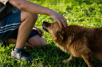 Bez socializace na lidi se neobejdeme! – 8. díl