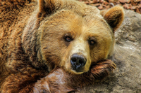 Výlet do zoo aneb Den, kdy jsem našla příbuzné