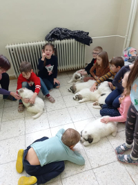 Canisterapie jde s mou pyrenejkou úplně skvěle!