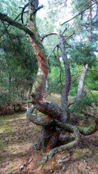 Kostel svaté Barbory a jeho okolí