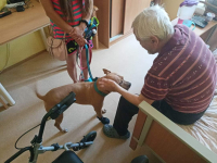 Boříme předsudky – bojovník Rogue rozjasňuje dny seniorům!
