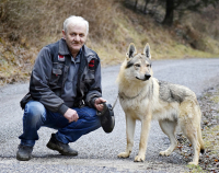 Peter Krotkovský: „Ak stratíme vzhľad vlka, stratíme celé plemeno!“
